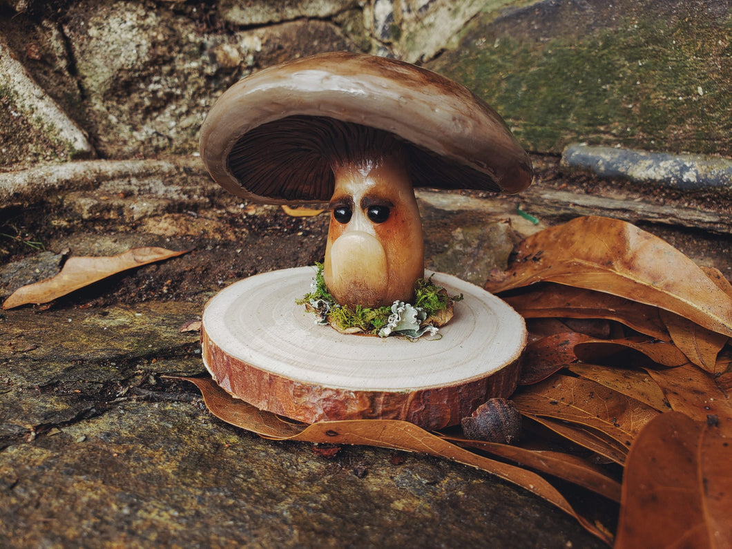 Grumpy Mushroom - Saburo Shiitake