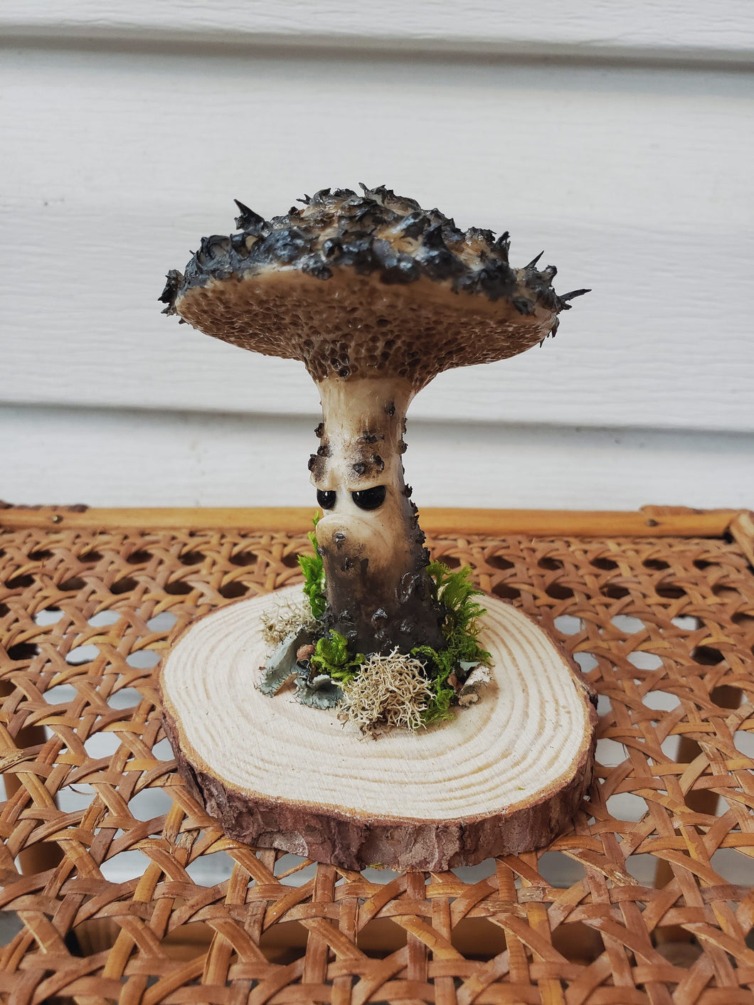 Grumpy Mushroom - Old Man Otto