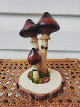 Load image into Gallery viewer, Grumpy Mushroom -  Wine Cap Family
