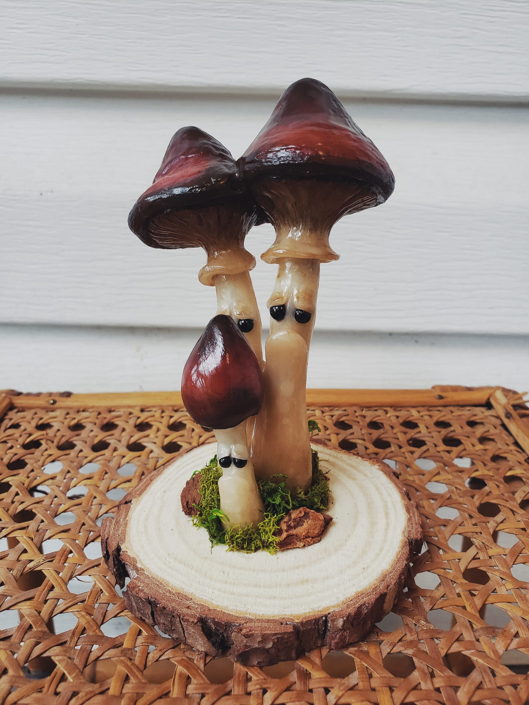 Grumpy Mushroom -  Wine Cap Family