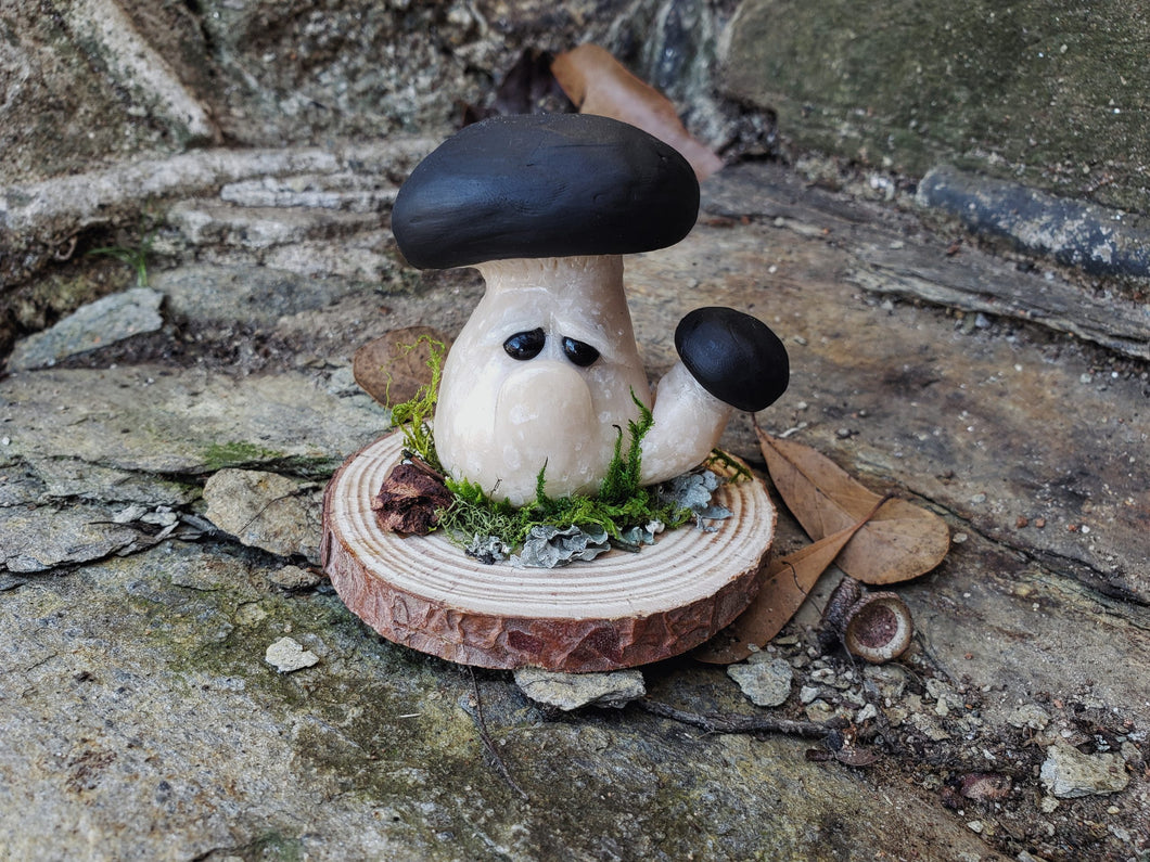 Grumpy Mushroom - Black Pearl Bill