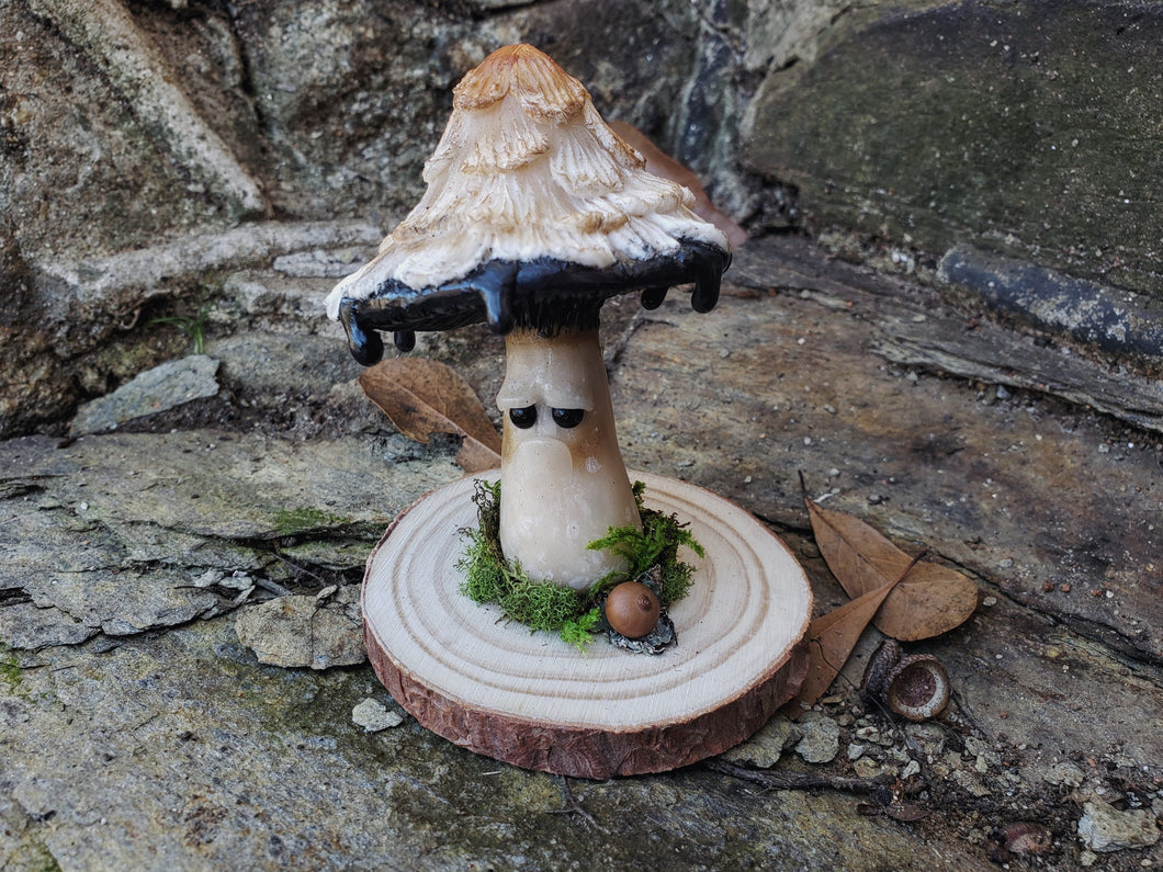 Grumpy Mushroom - Iggy Inkcap