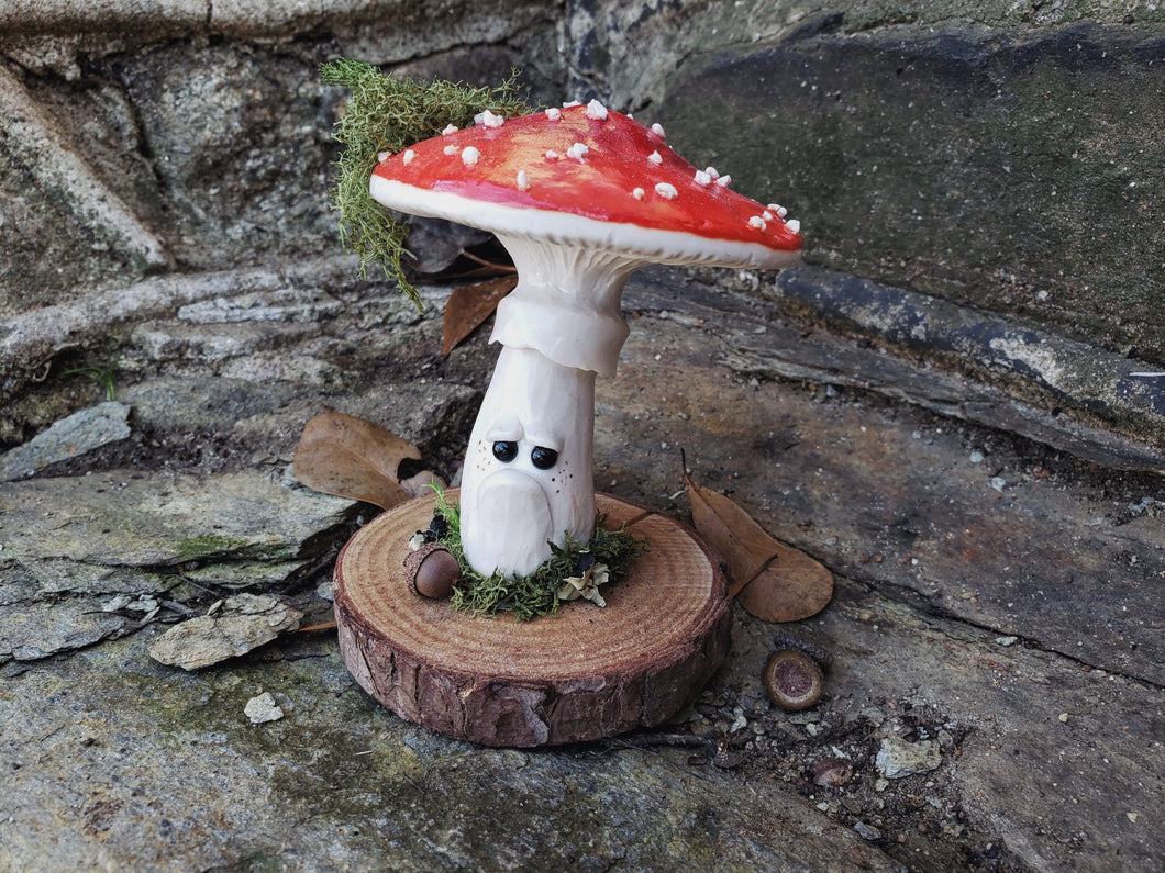 Grumpy Mushroom - Ally Amanita